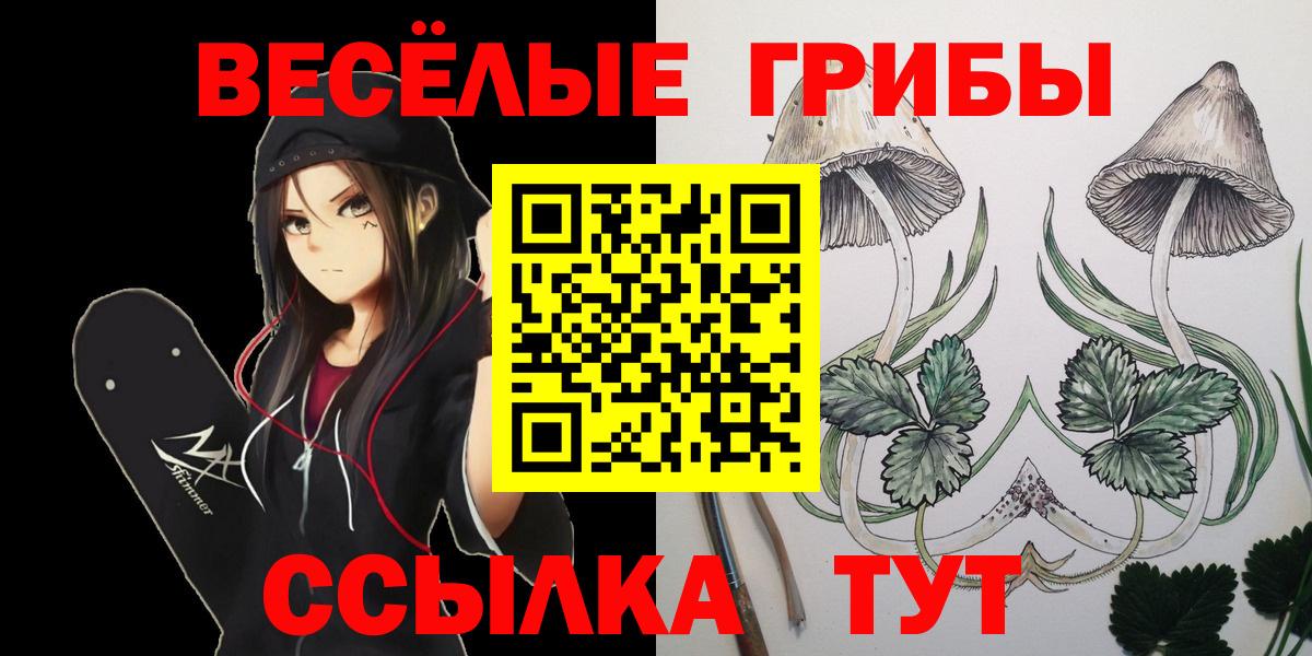 Галлюциногенные грибы Psilocybe  где найти   Галлюциногенные грибы ЛСД  Узловая  Вход с VPN 